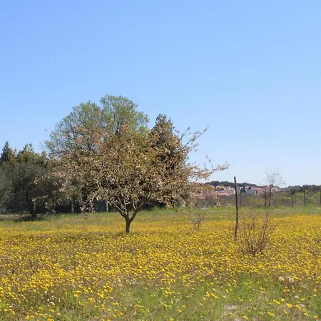 Appartamento Mirjana *